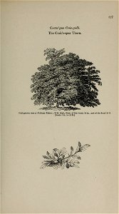 n54_w1150
