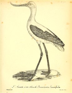 n408_w1150