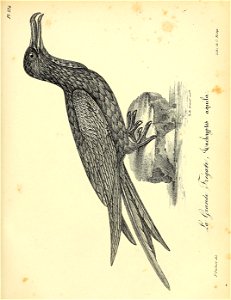 n412_w1150