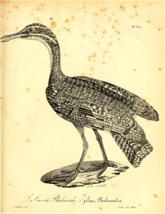 n352_w1150