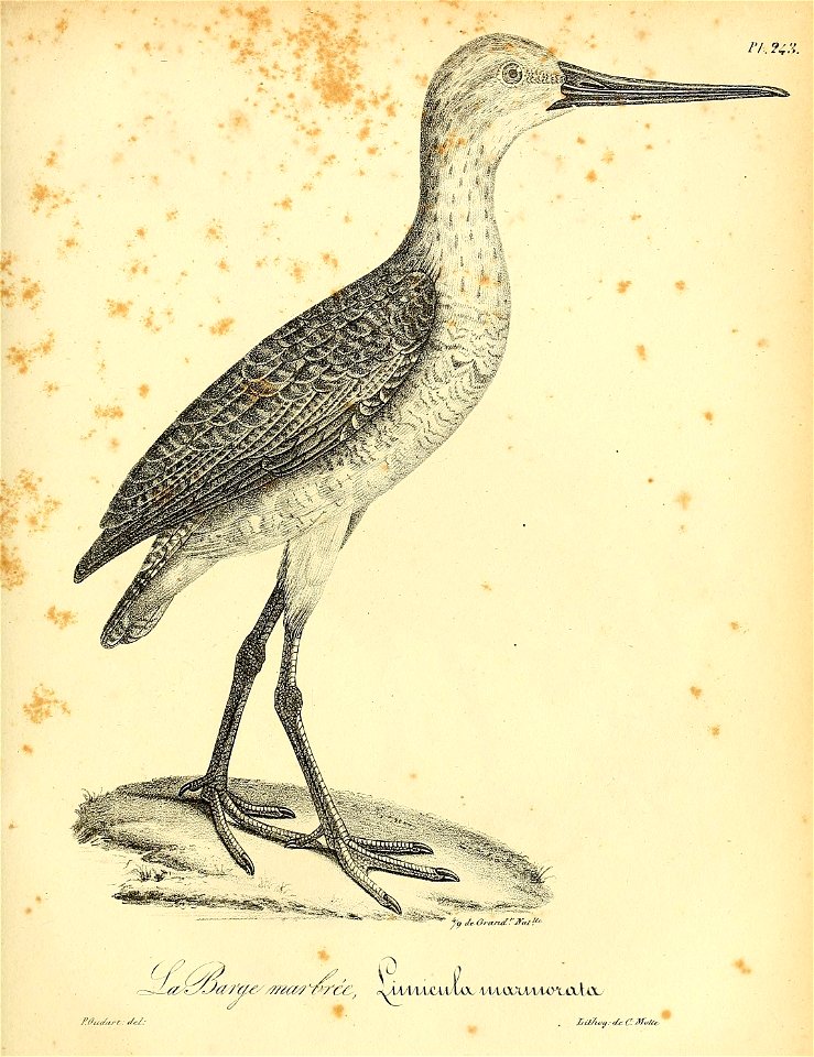 n350_w1150