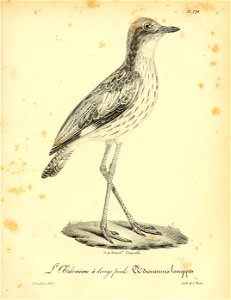 n320_w1150
