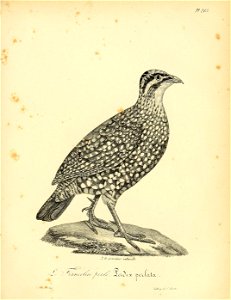 n290_w1150