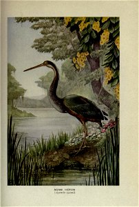 n168_w1150