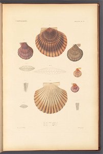 n58_w1150