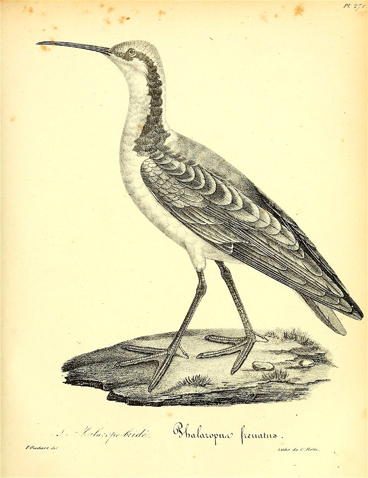n406_w1150