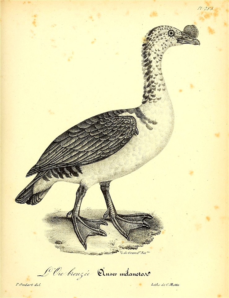 n434_w1150
