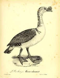 n434_w1150