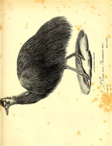 n316_w1150