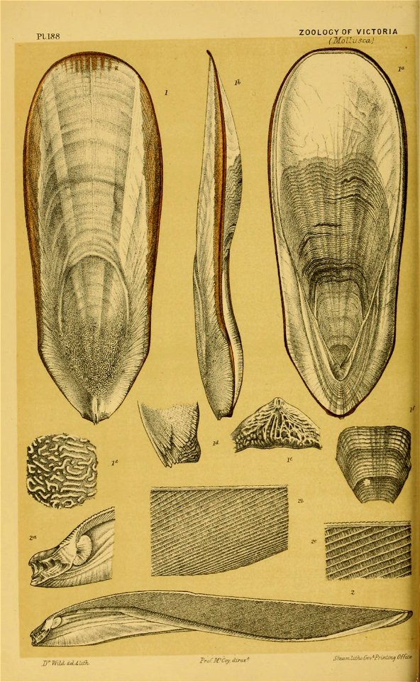 n281_w1150