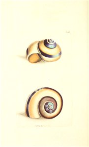 n273_w1150