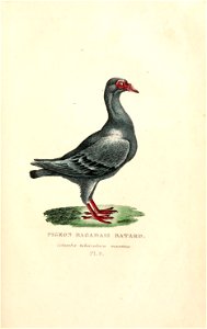 n240_w1150