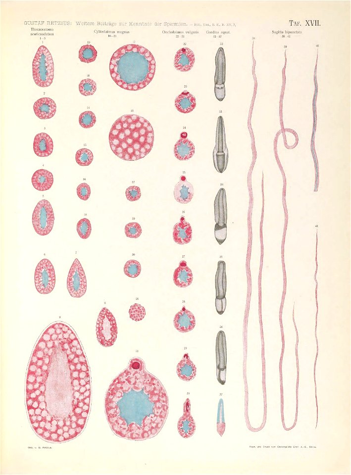n164_w1150