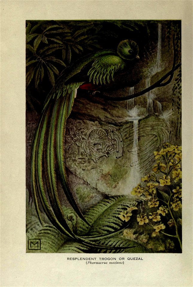 n5_w1150