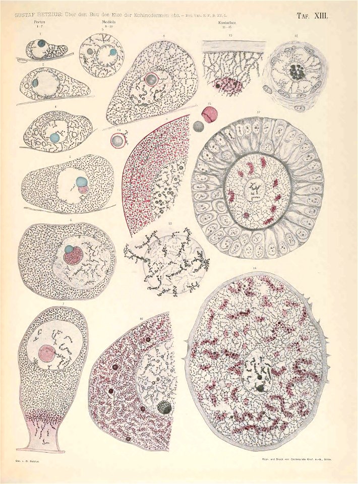 n156_w1150