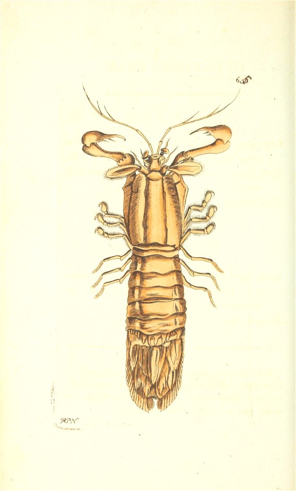 n119_w1150