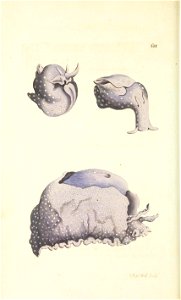 n19_w1150