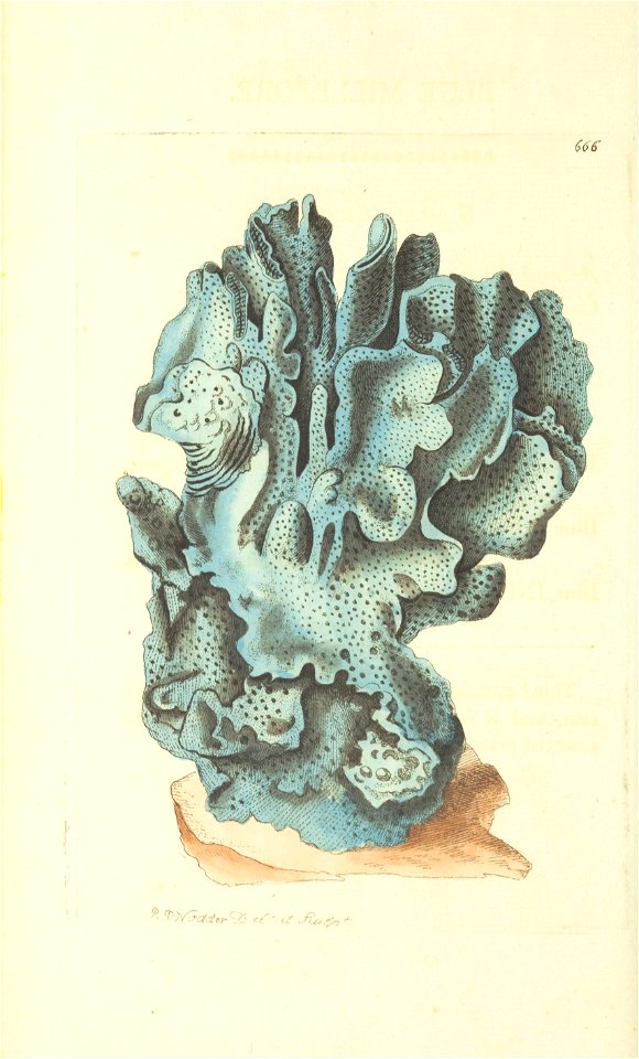 n179_w1150