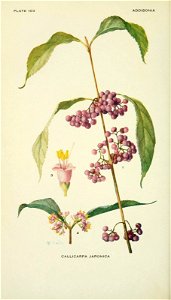 n97_w1150