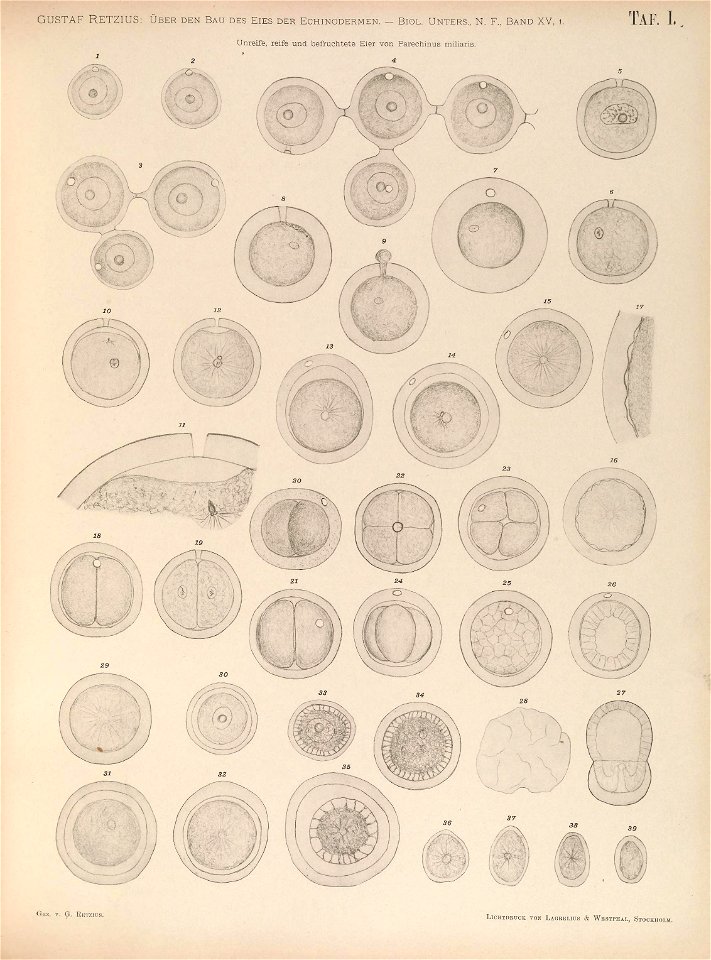 n108_w1150