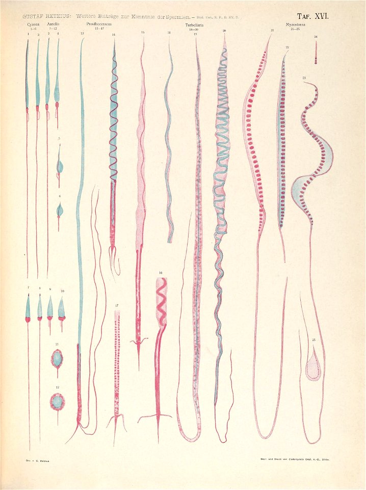 n162_w1150
