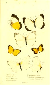 n134_w1150