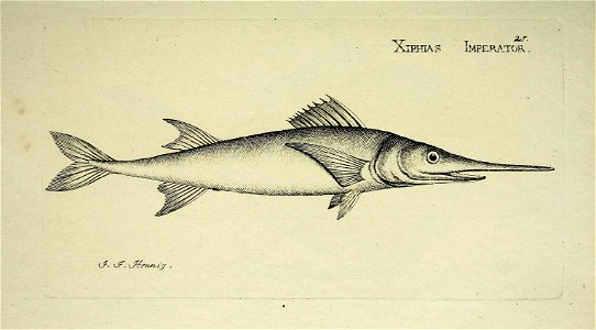 n46_w1150
