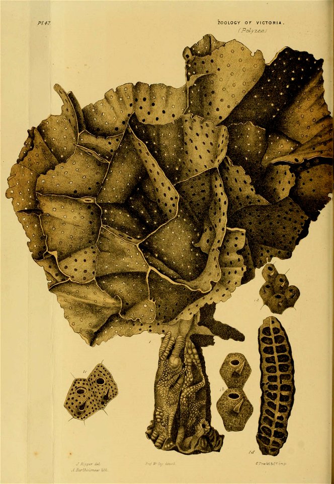 n353_w1150