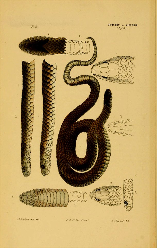 n23_w1150