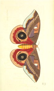 n125_w1150