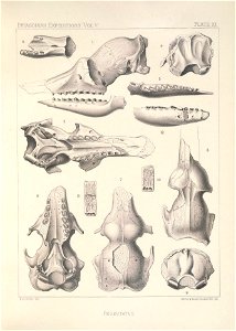 n58_w1150