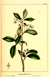n254_w1150