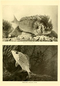 n608_w1150