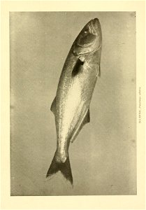 n434_w1150
