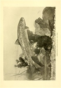 n250_w1150