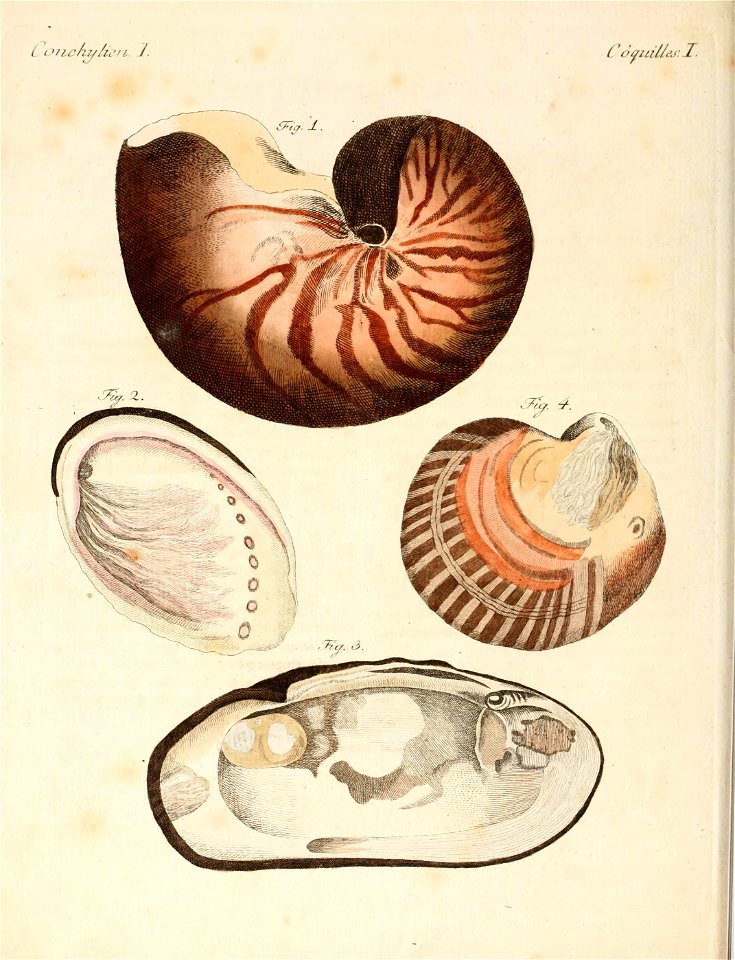 n123_w1150