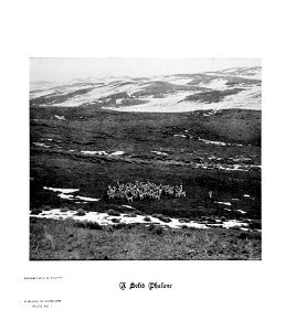 n20_w1150