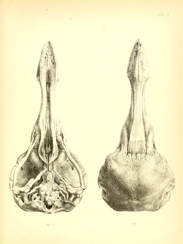 n184_w1150