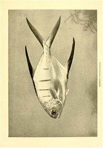 n422_w1150