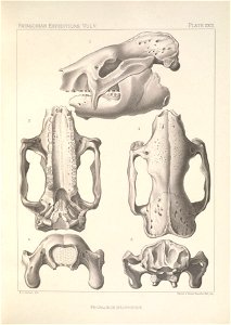 n106_w1150