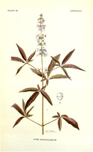 n56_w1150