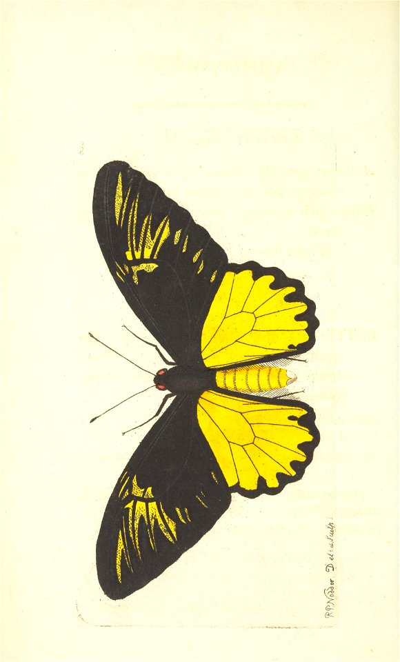 n89_w1150