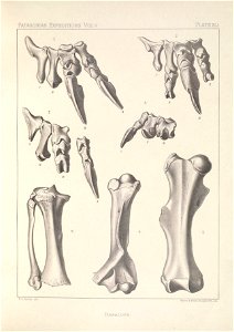 n178_w1150
