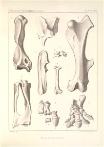 n118_w1150