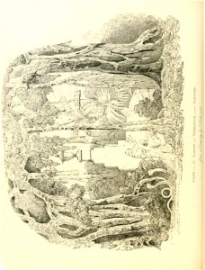 n303_w1150