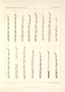 n110_w1150