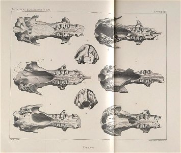 n171_w1150