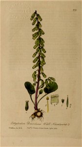 n163_w1150