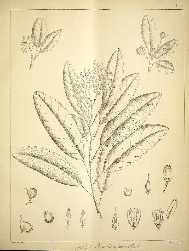 n596_w1150