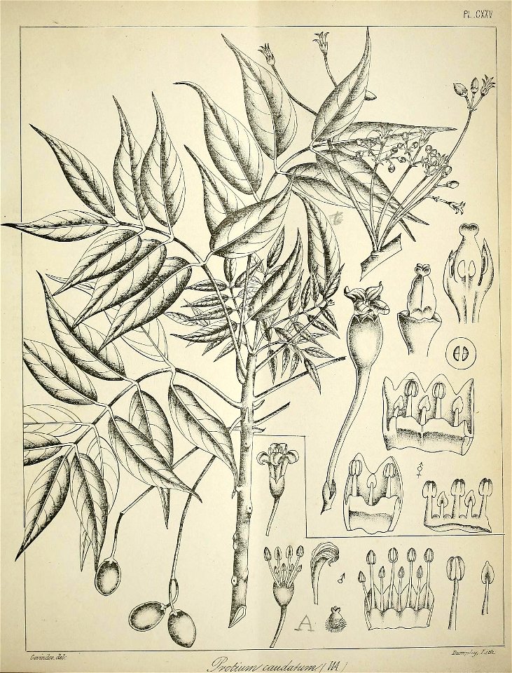 n536_w1150